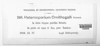 Cladosporium ornithogali image